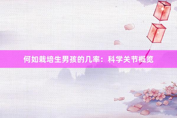 何如栽培生男孩的几率：科学关节概览